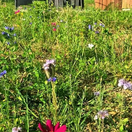 Le Relais De D'artagnan Apartment