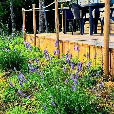 Le Relais De D'artagnan Peyrusse-Grande