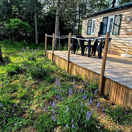 Le Relais De D'artagnan Apartment Peyrusse-Grande