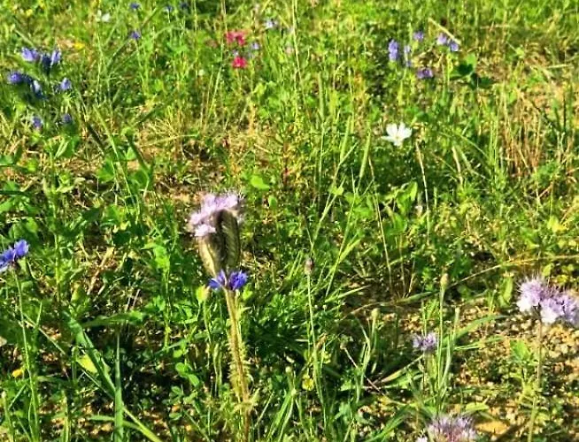 Le Relais De D'artagnan Διαμέρισμα